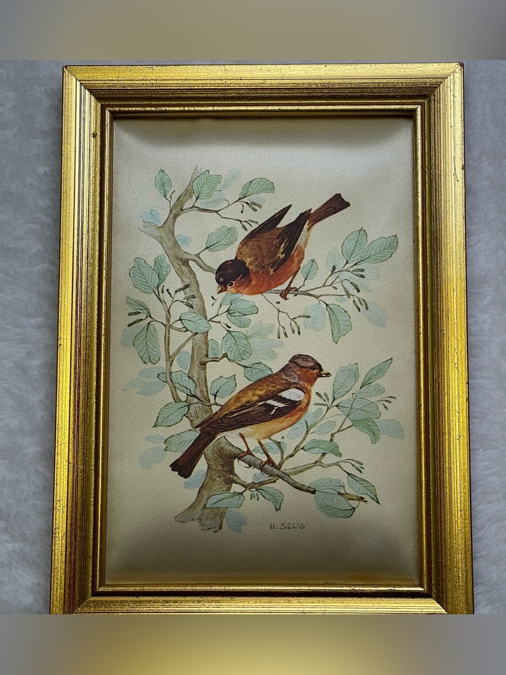 Vintage Italian U. Selis Bird Silk Prints Gold Gilt Frames Pair - Made in Italy - Picture 3 of 9